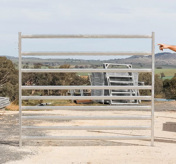 Combo Sheep/Cattle Panels Corcoran Rural