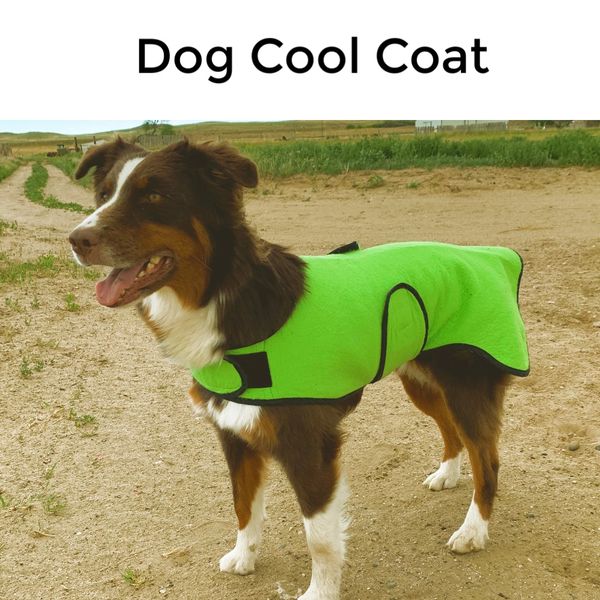 Dog Cool Coat