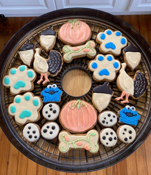 Dozen Decorated Treats