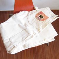 stan ray painter pants white