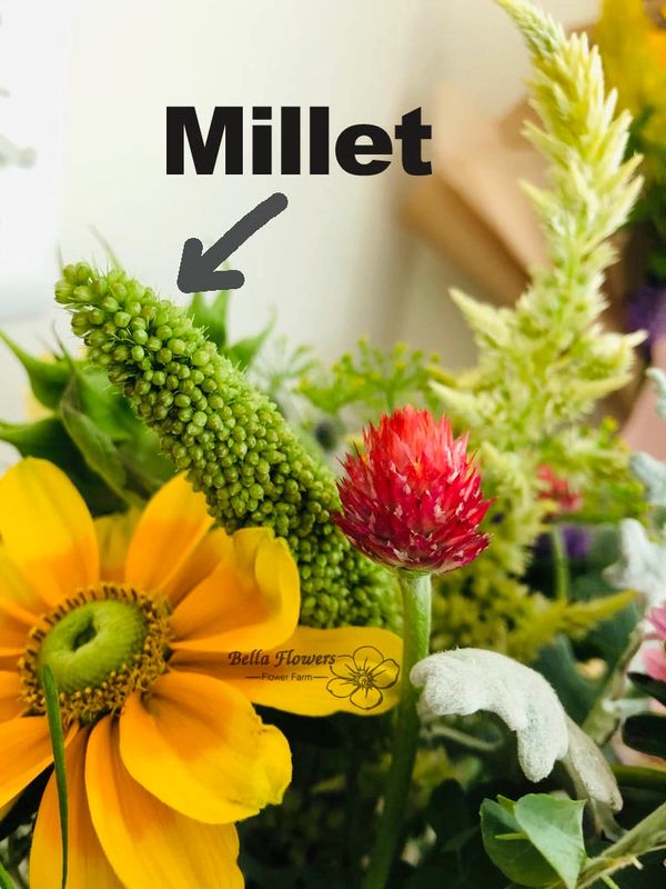 Lime mills green grass filler flower