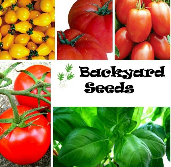 Tomato and Basil Seeds Variety Pack: All the favourites!