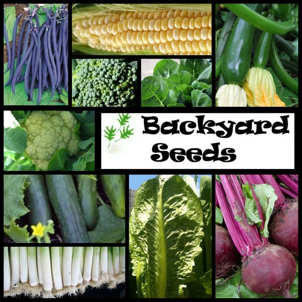 10 Summer Heirlooms - Vegetable Seeds