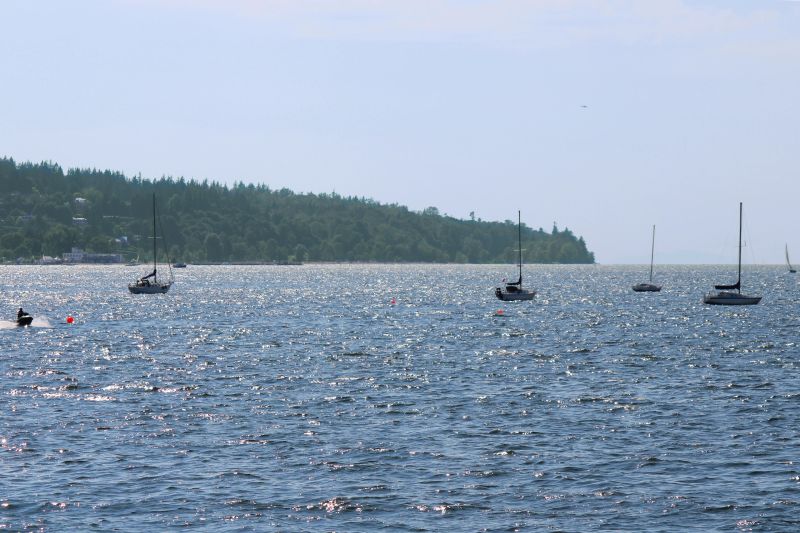 IMG_0184.JPG