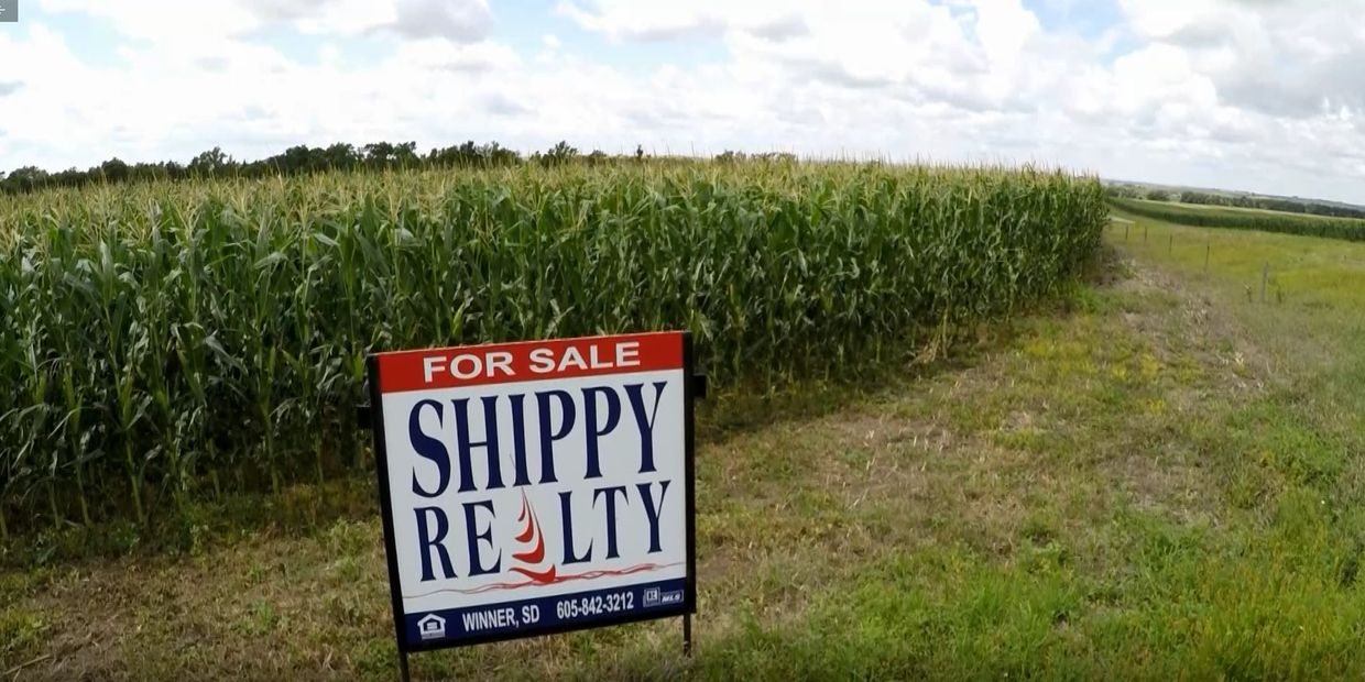 Winner Realtor Shippy Realty For Sale Sign