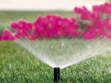 Sprinkler watering pink flowers