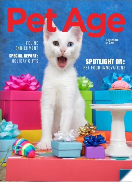 Double Dog Run Strong Tangle Free Dog Tie Out Two Dog Tie Out