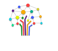 The Cedo Group