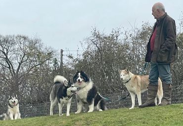 Frank and some of his friends 