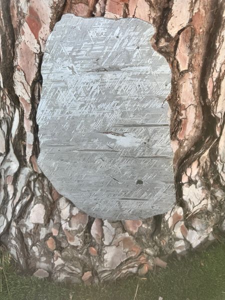 1870g = 4.2 lbs. Aletai Meteorite slab