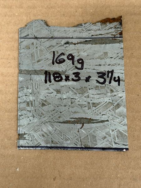 169g .118” x 3 x 3.25” Aletai Meteorite