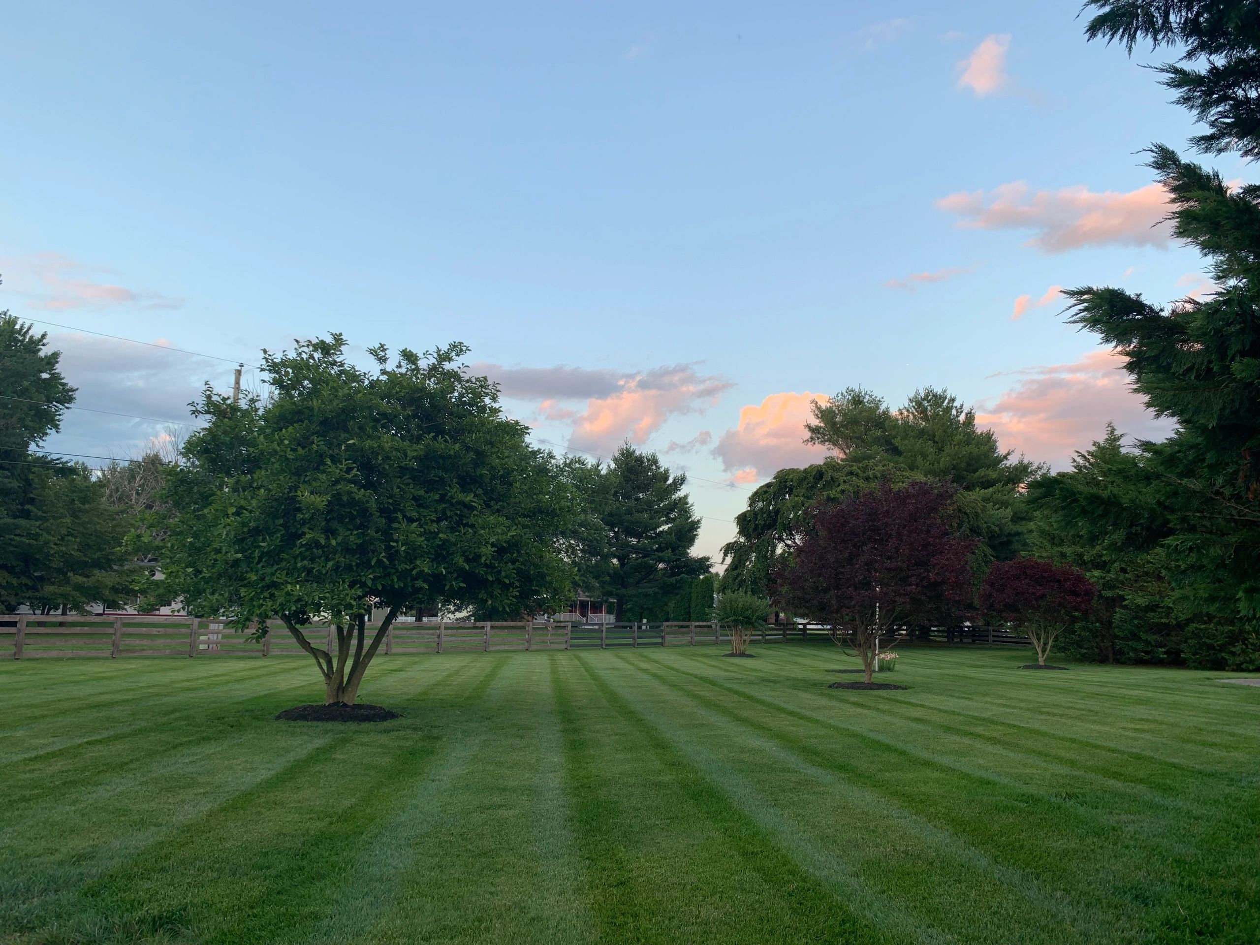 Riley Bros. Property Services Lawn Care, Landscaping, Power Washing