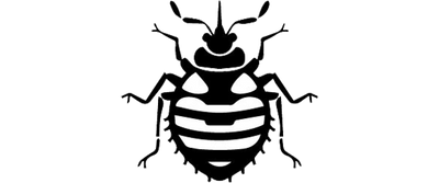 Bedbugs top view outline