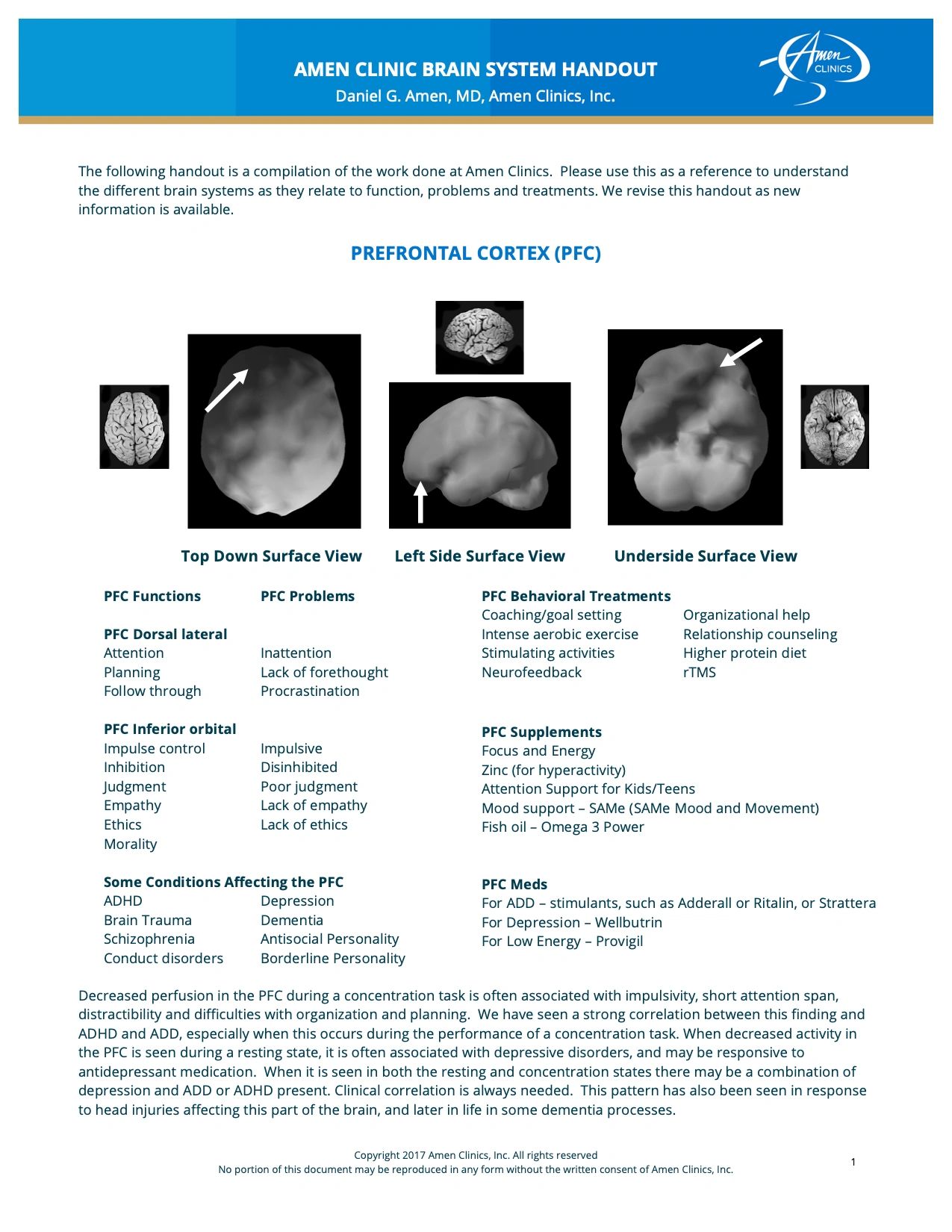 Brain Systems