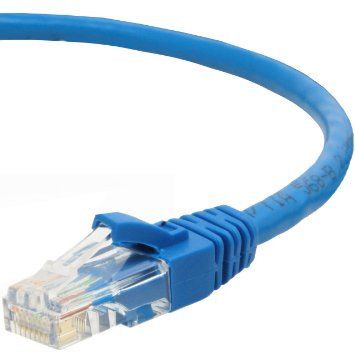 CAT5e RJ45 10/100 Straight/Patch Network Cable - 1 Ft.