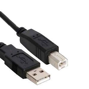 USB A/B Printer Cable - 10 Ft.
