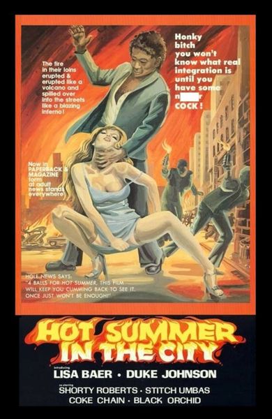 Hot Summer in the City - 1976 - interracial-blaxploitation - 1 hr 8 min - *used DVD in paper sleeve - NO ART - (Q=F-G)