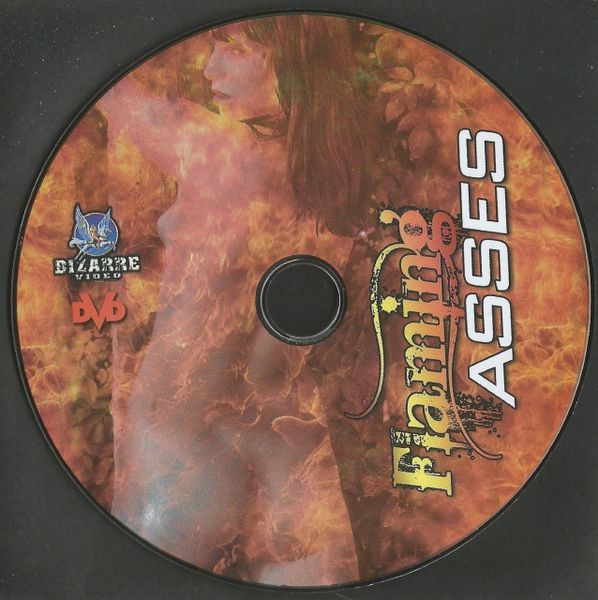 BV - Flaming Asses 01 - 4 scenes - 1 hr 32 min - *used DVD in paper sleeve - art on disc face - (Q=VG)