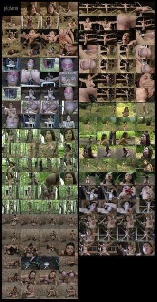 ISX - Pig Farm - 1 hr 16 min - *used DVD in paper sleeve-no art-(Q=G-VG)
