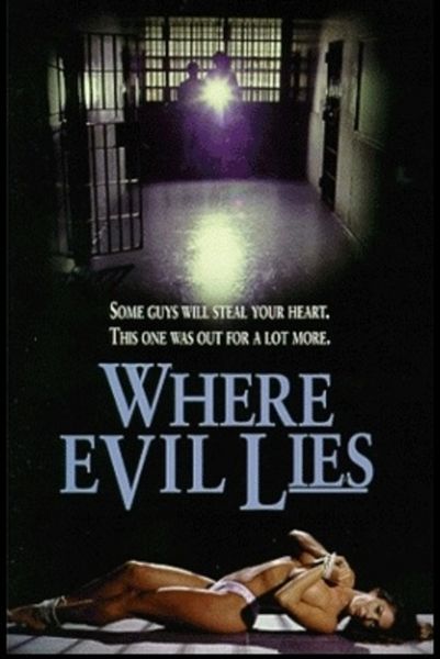 Where Evil Lies-1995 - 1 hr 22 min - *used DVD in paper sleeve-no art-(Q=G-VG)