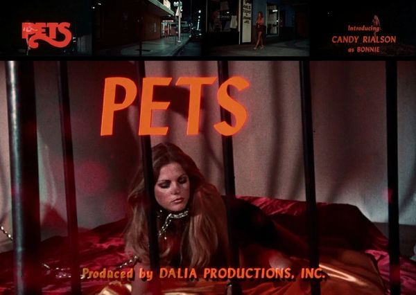 Pets-1973 - 1 hr 41 min - *used DVD in paper sleeve-no art-(Q=G-VG
