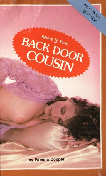 DN416 - Diary Novel - by Pamela Cooper