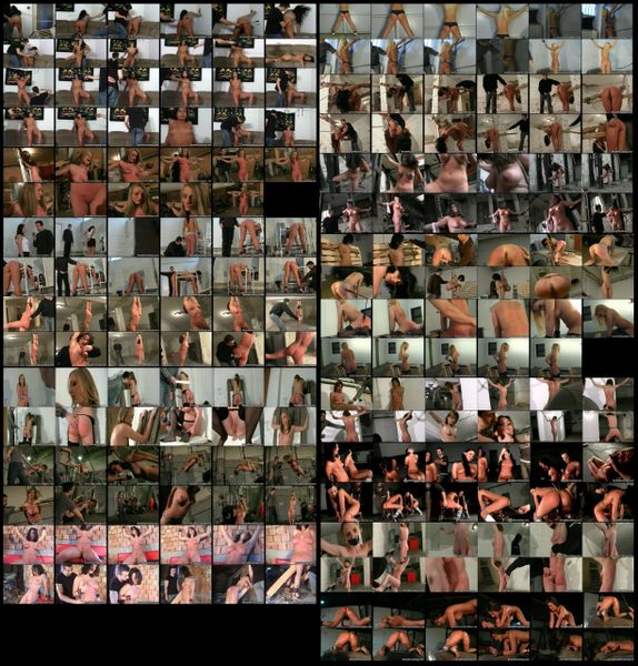 BDSM - BP 001 - 17 scenes - 2 hr 8 min - *used DVD in paper sleeve - NO ART - (Q=F-G)