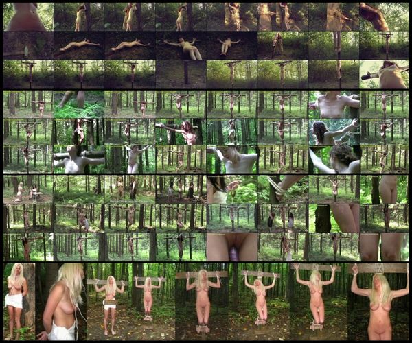 Crucifix - forest 2 - 6 models-4 scenes-2 hr 25 min - (Q=G-VG)