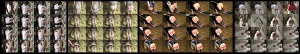 Foreign - Anfisa-4 sessions-58 min - (Q=G-VG)