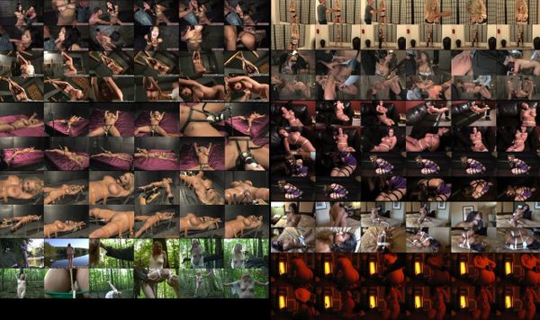 Bondage 02 - 11 scenes - 2 hr 14 min - *used DVD in paper sleeve - NO ART - (Q=F-G-VG)