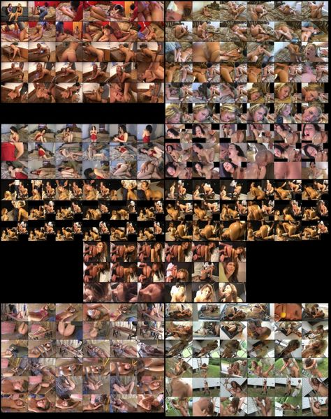 PS-C - S-T-W MODELS - 4 models - 2 hr 29 min - *used DVD in paper sleeve - NO ART - (Q=G-VG)