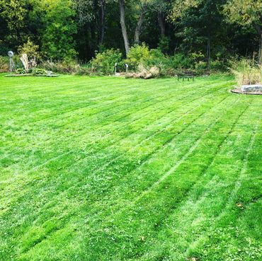 Lawn Care Maintenance Grass Cutting Lawn Care Lawn Maintenance 