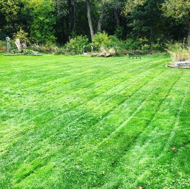 Lawn Care Maintenance Grass Cutting Lawn Care Lawn Maintenance 