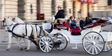 Horse Drawn Carriage Tour in New York City