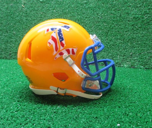 LYNDHURST GOLDEN BEARS MINI HELMET