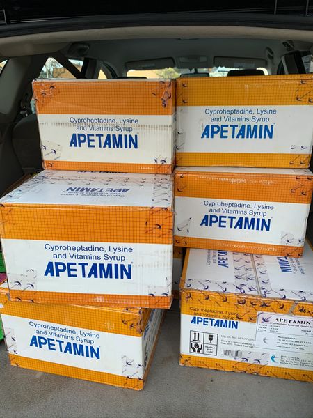 Wholesale price for Apetamin Syrup case of 200ml (25 bottles)