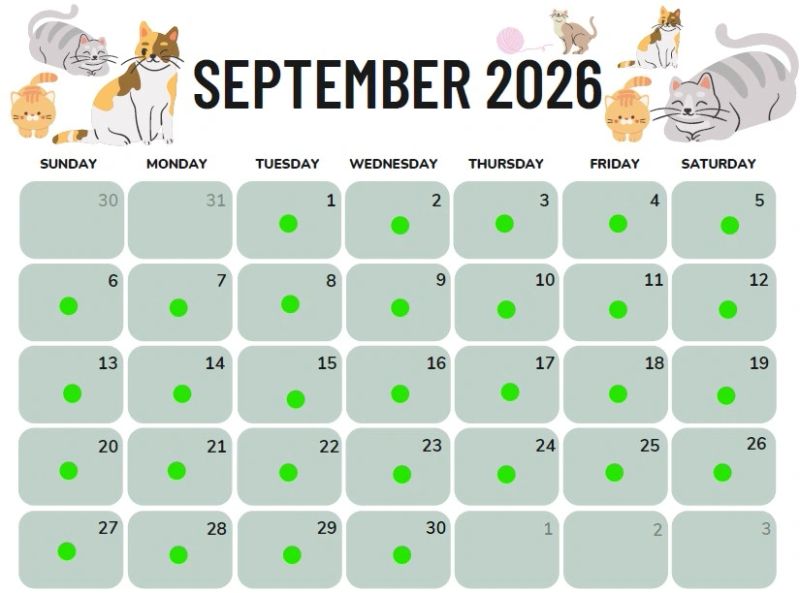 Availability_Sept_2026.jpg