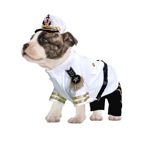 Dog sailor clearance outfit