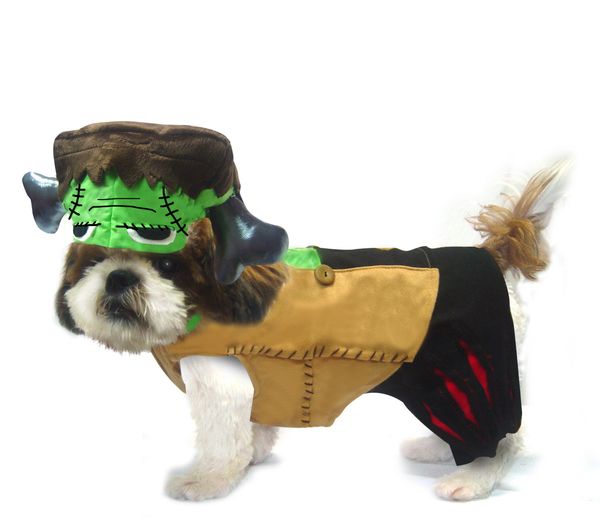 Frankenstein store dog collar