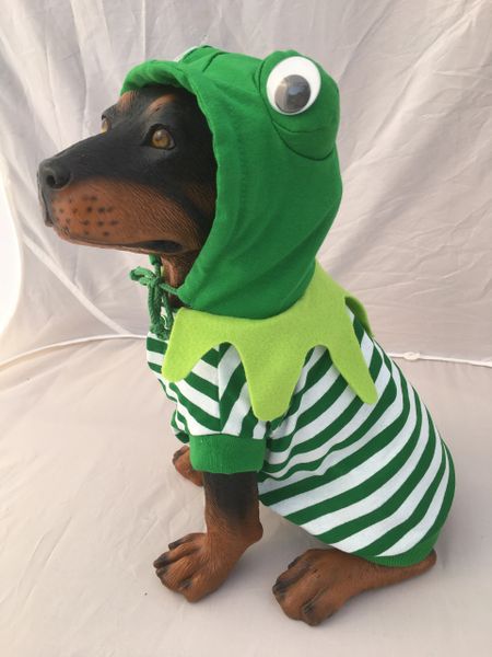 Dog 2025 frog costume