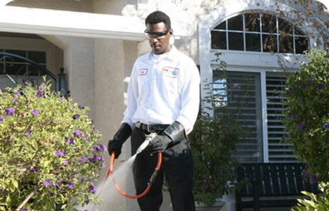 san diego pest control