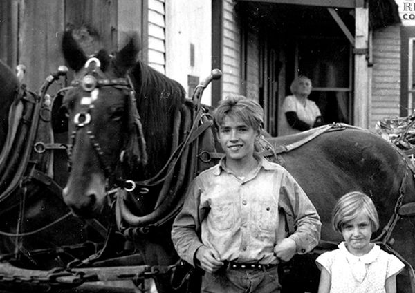 AMERICAN FARM FAMILY HARVEST