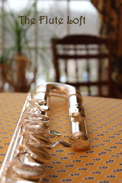 Di Zhao DZB-100 Bass Flute