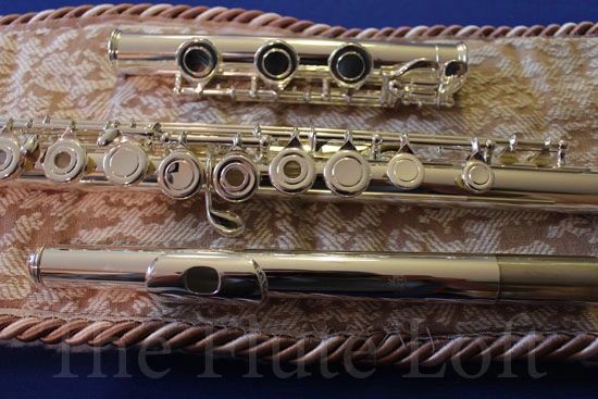Di Zhao 600/701 Intermediate-Advanced flute