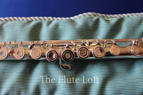 Di Zhao 400/501 (NEW) Intermediate flute