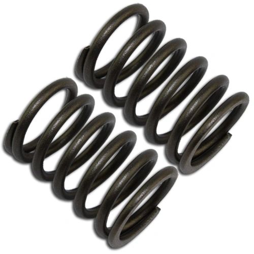 `HONDA GX200, GX160, GX140, GX120, GX110 VALVE SPRING SET