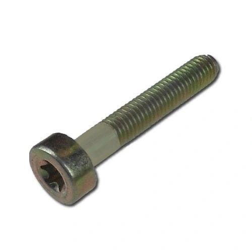 ~SPLINE SCREW T27-M5 X 35