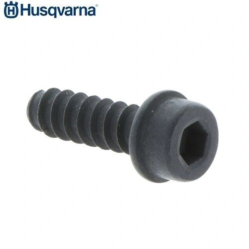 SOCKET CAP HEX SCREW M5.5 x 16 x 8.8-ZN O.E.M ORIGINAL