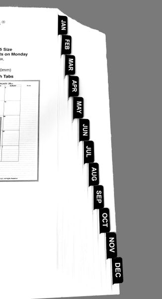Adhesive Monthly Tabs