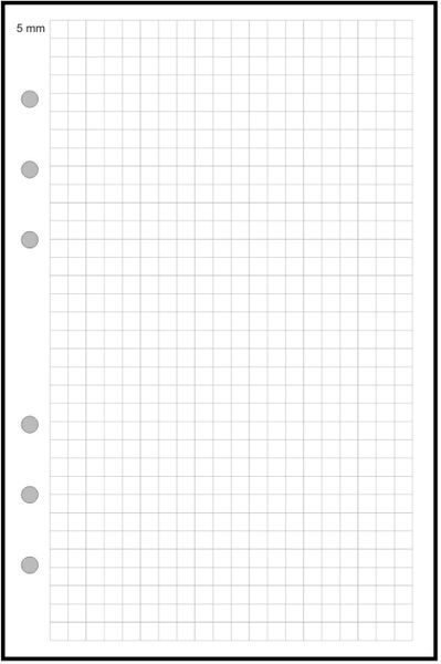 A6 Graph / Grid Paper (0.25)